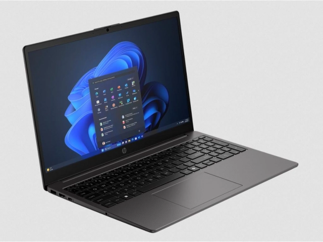27842 Laptop HP 250 G10 DOS/15.6 FHD AG/Core 3-100U/8GB/512GB