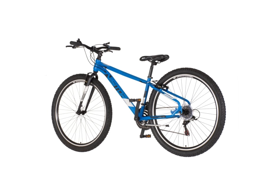 main_image