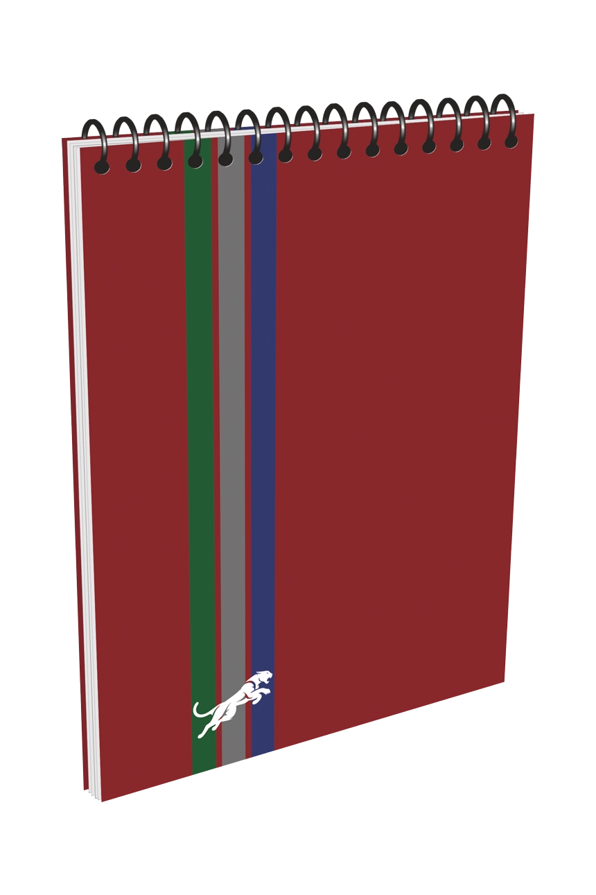 main_image