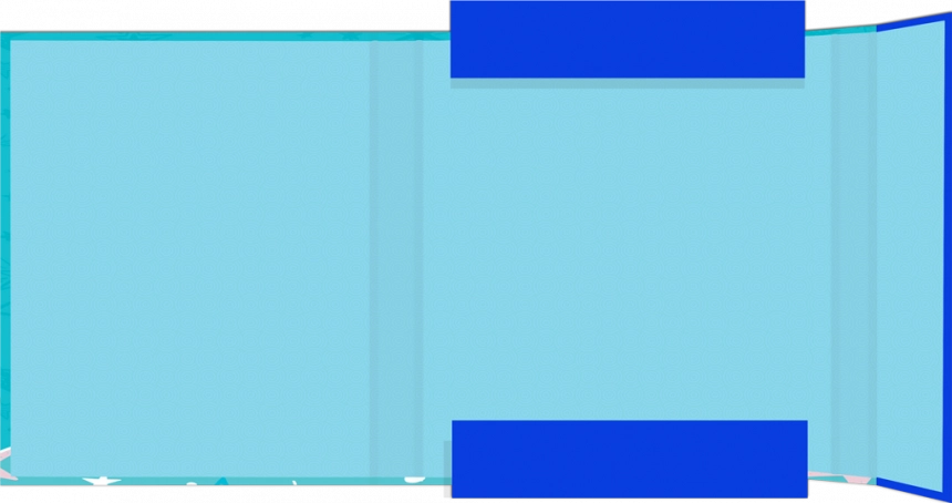 main_image