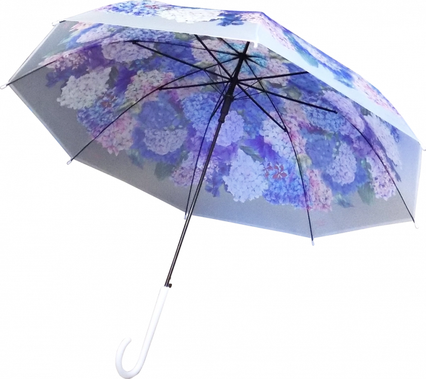 main_image
