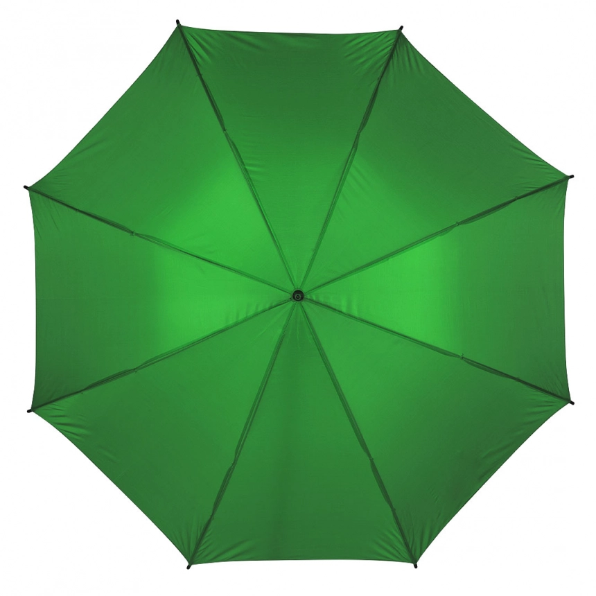 main_image